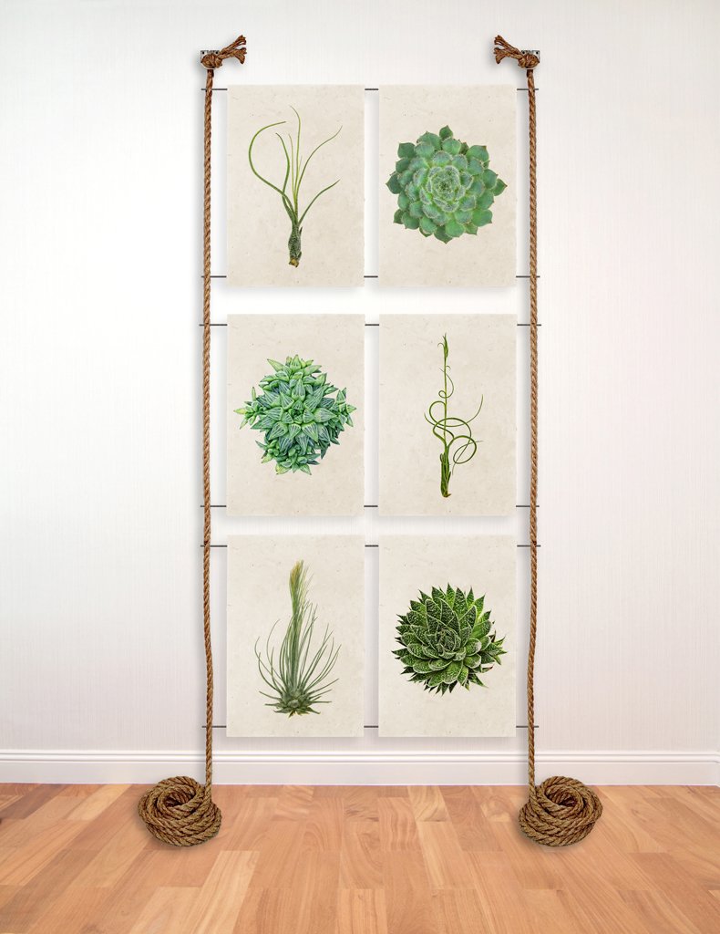 6 PRINT ROPE AND STEEL DISPLAY