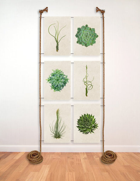 6 PRINT ROPE AND STEEL DISPLAY