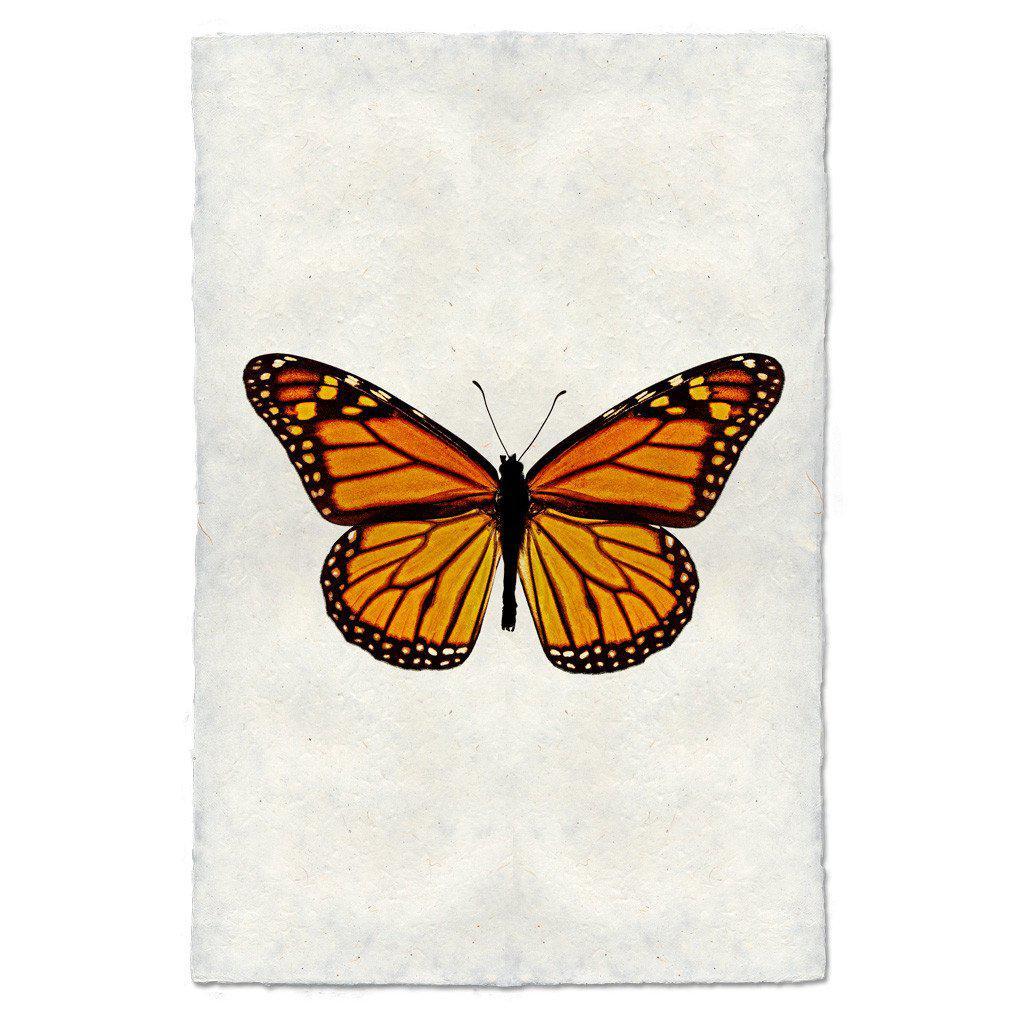 Butterfly #13