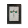 CAMBIO FRAME