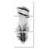 Feather #15 Triptych