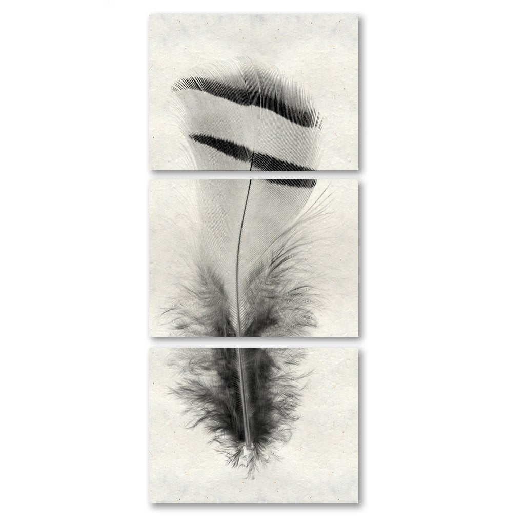 Feather #15 Triptych