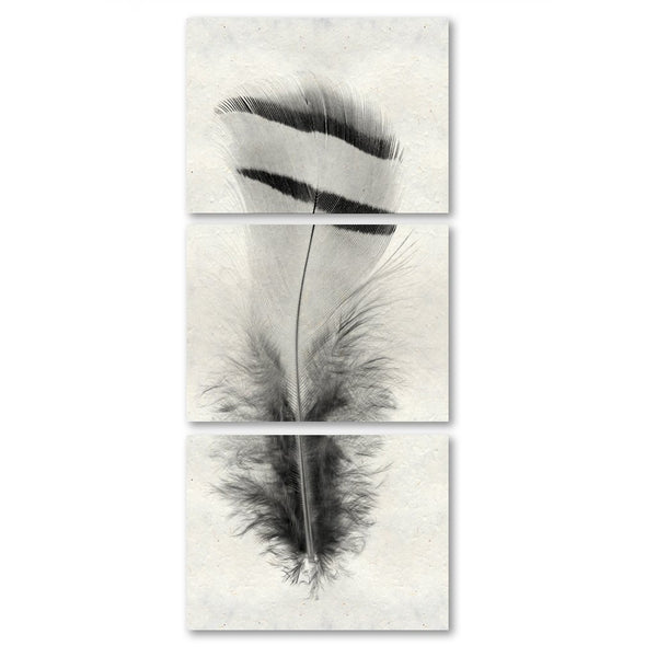 Feather #15 Triptych