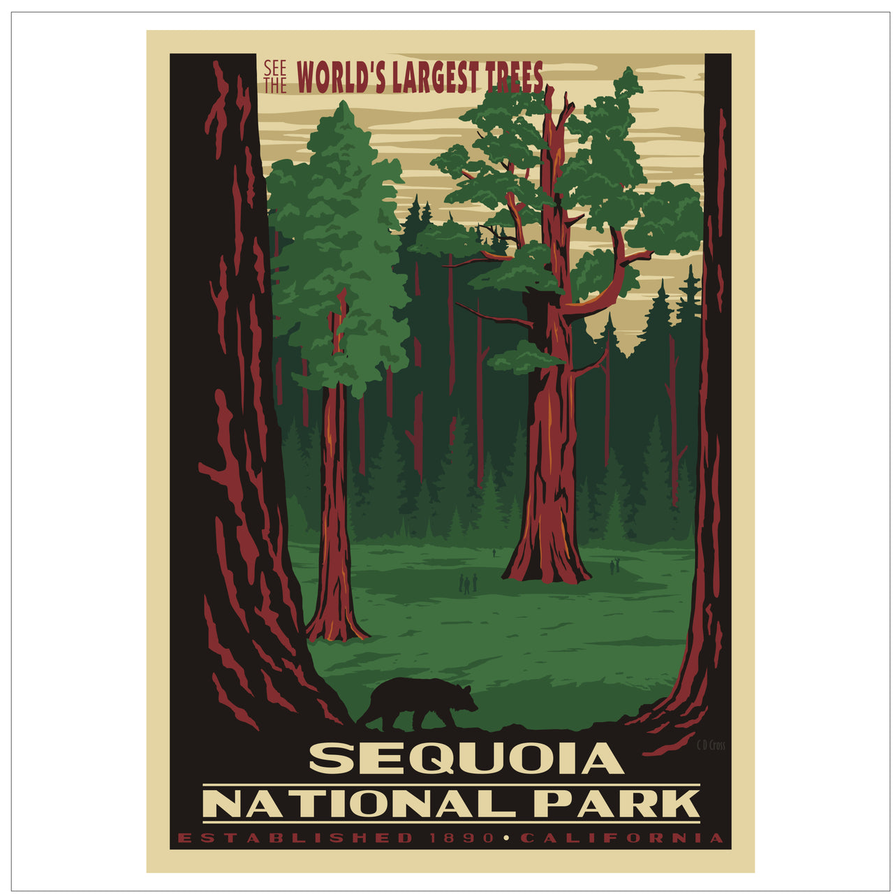 Sequoia