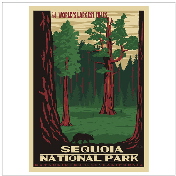 Sequoia