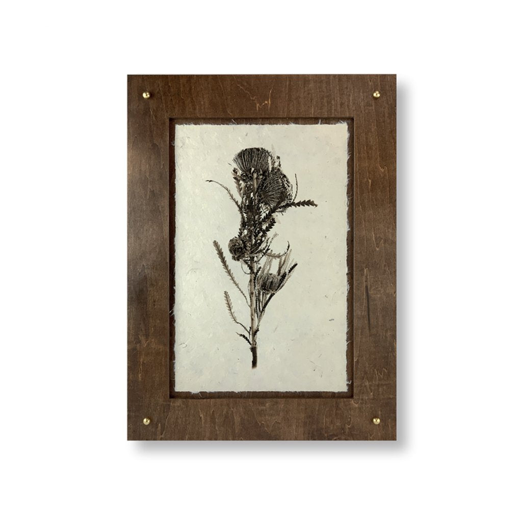 CAMBIO FRAME