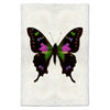 Butterfly #2