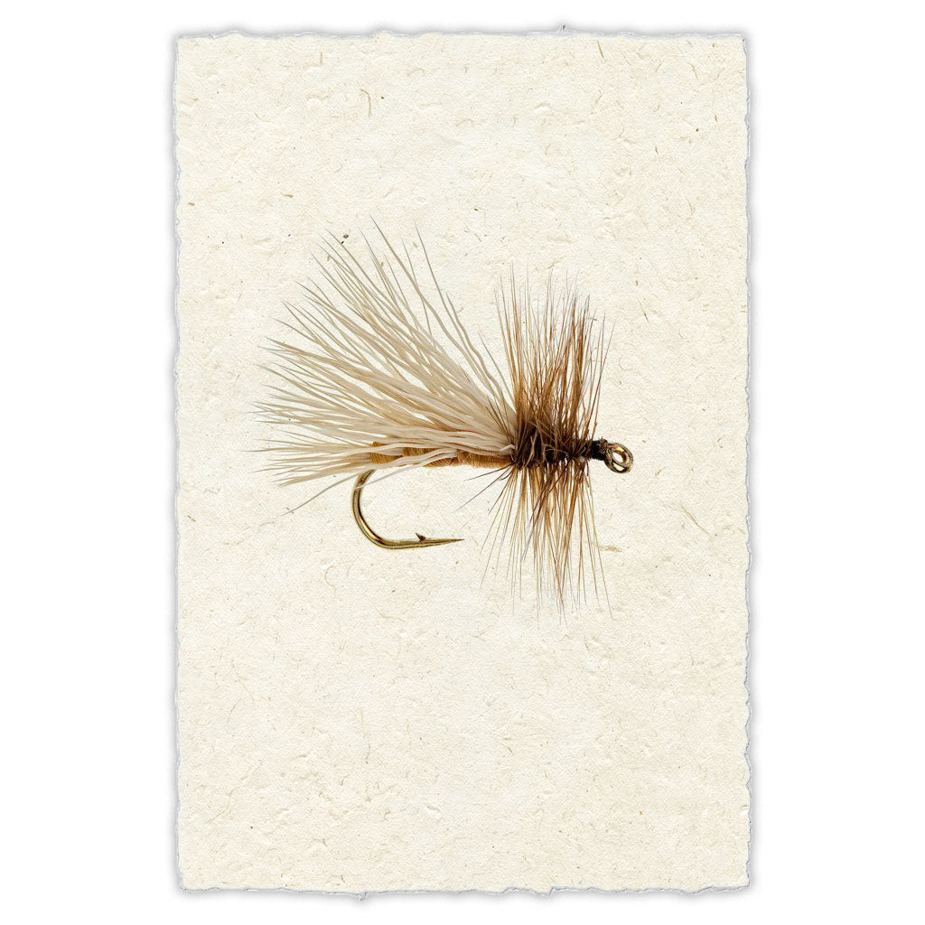 Caddis Variant