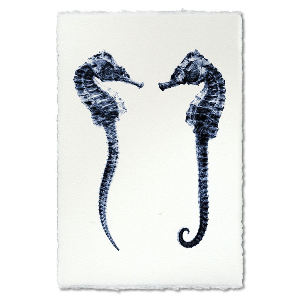 Double Seahorse