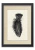 Feather #10