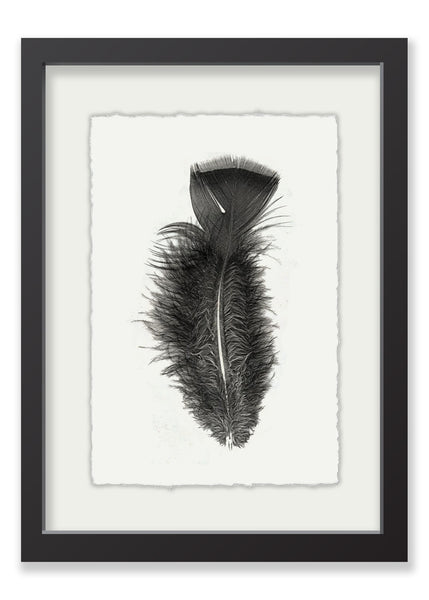 Feather #10