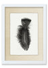 Feather #10