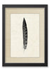 Feather #11