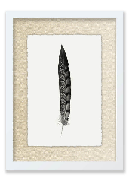 Feather #11