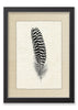 Feather #13