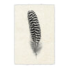 Feather #13