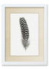 Feather #13