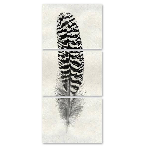 Feather #13 Triptych