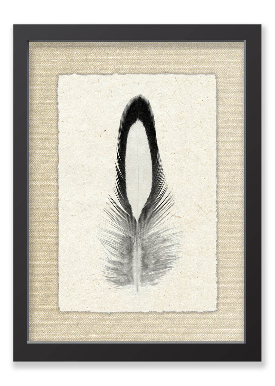 Feather #14