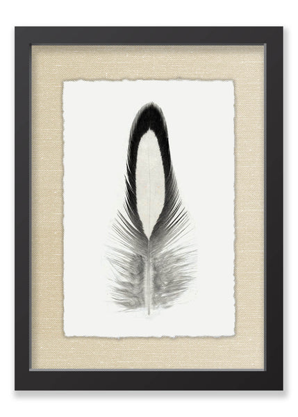 Feather #14