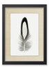 Feather #14