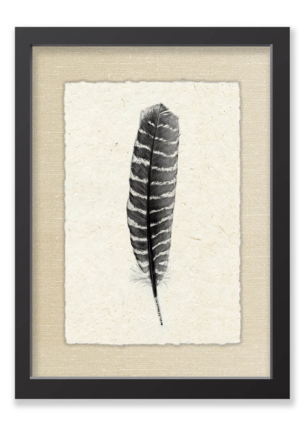 Feather #16