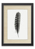 Feather #16