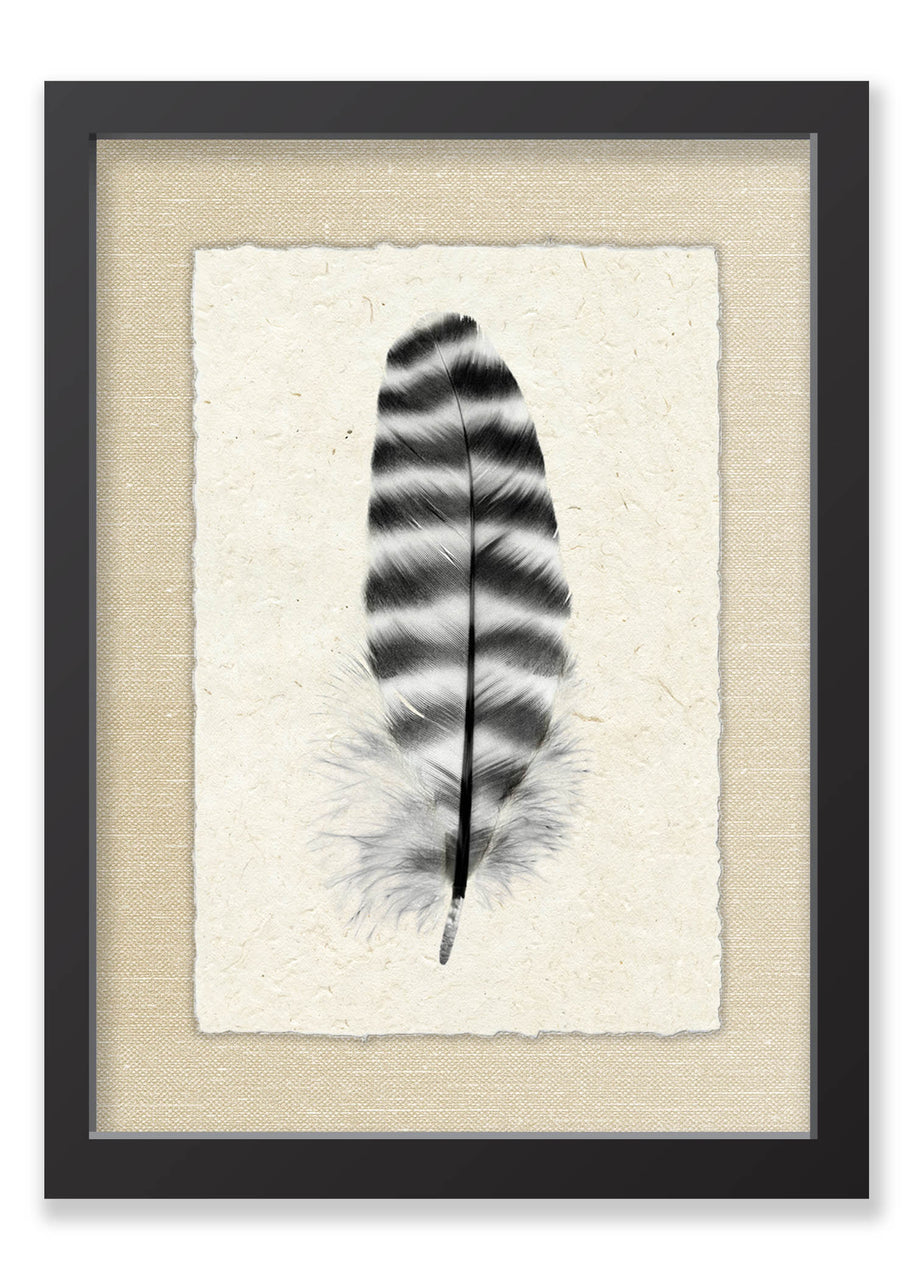 Feather #17