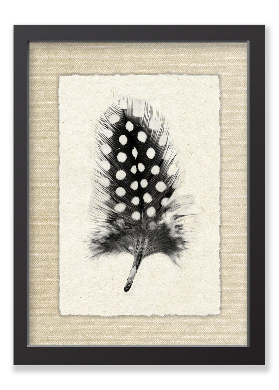 Feather #1