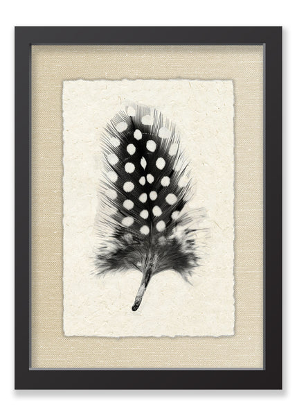 Feather #1