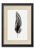 Feather #2