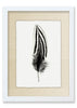 Feather #2