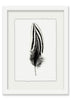 Feather #2