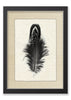 Feather #3