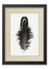 Feather #3