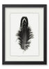 Feather #3