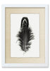 Feather #3