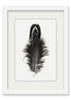 Feather #3