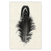 Feather #3