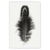 Feather #3