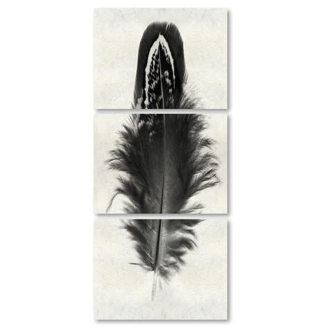 Feather #3 Triptych