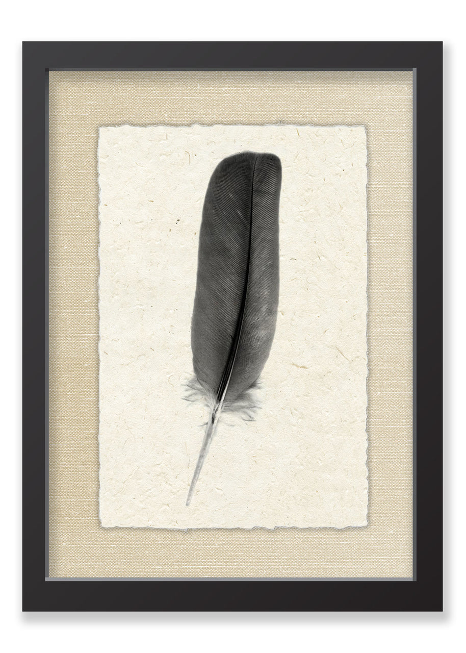 Feather #4