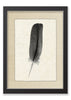 Feather #4