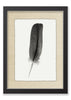 Feather #4