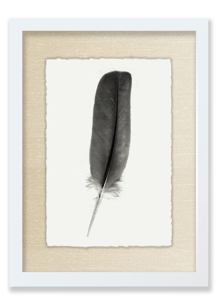 Feather #4