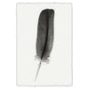 Feather #4