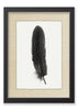 Feather #5