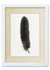 Feather #5