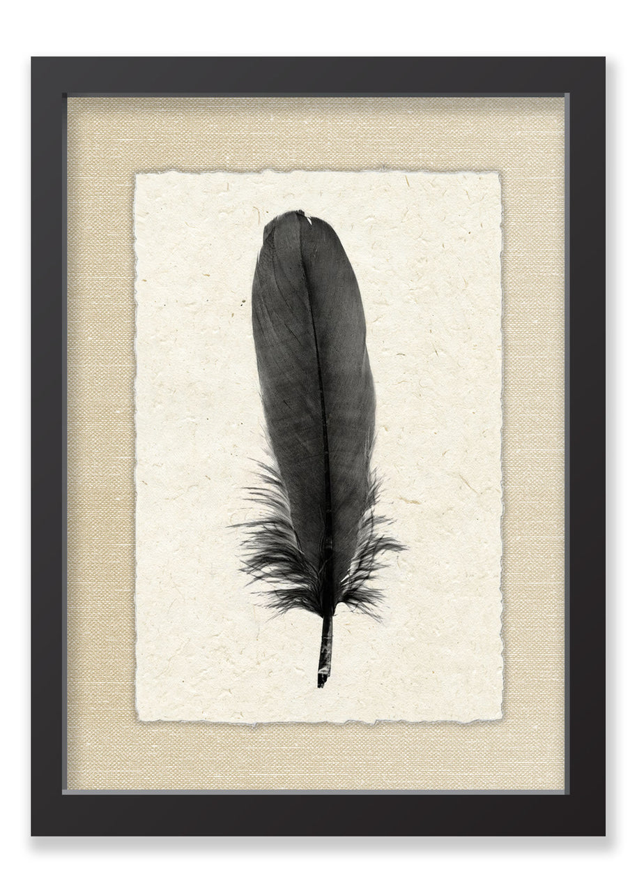 Feather #6