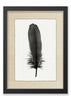 Feather #6